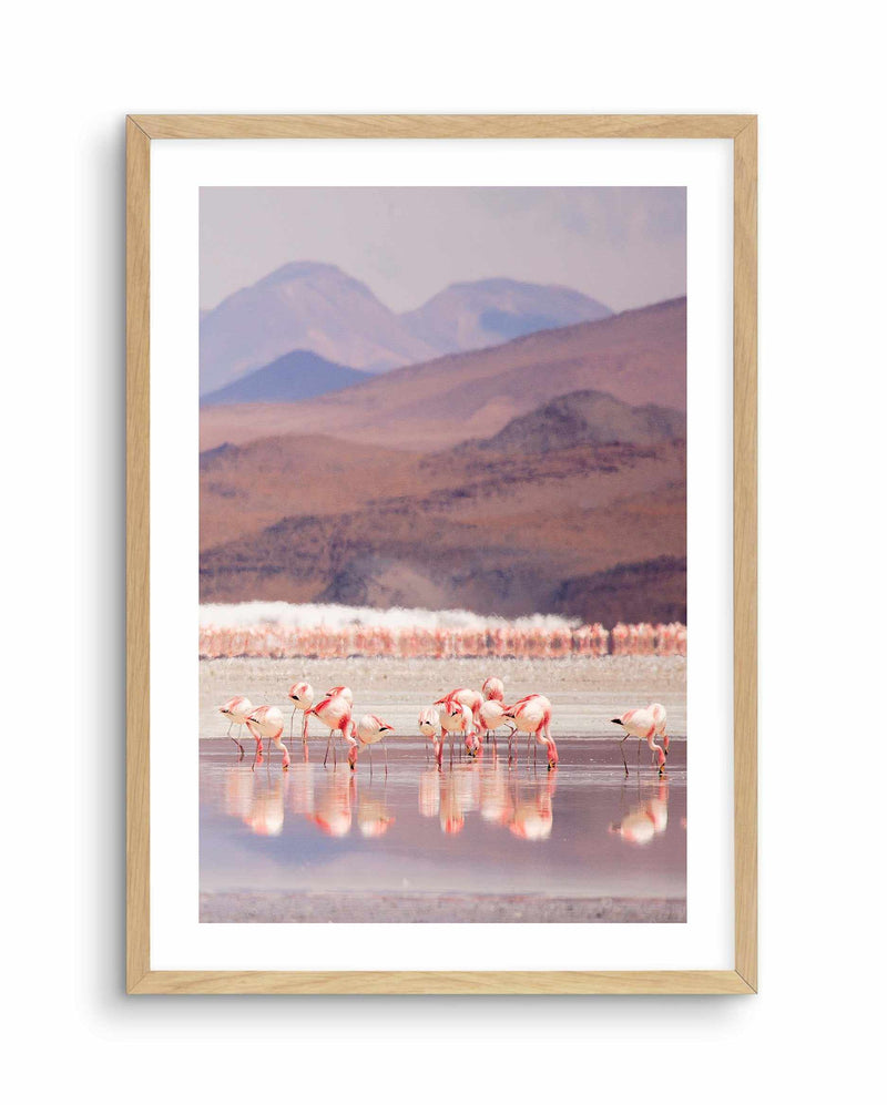 Flamingos | PT Art Print-PRINT-Olive et Oriel-Olive et Oriel-A5 | 5.8" x 8.3" | 14.8 x 21cm-Oak-With White Border-Buy-Australian-Art-Prints-Online-with-Olive-et-Oriel-Your-Artwork-Specialists-Austrailia-Decorate-With-Coastal-Photo-Wall-Art-Prints-From-Our-Beach-House-Artwork-Collection-Fine-Poster-and-Framed-Artwork