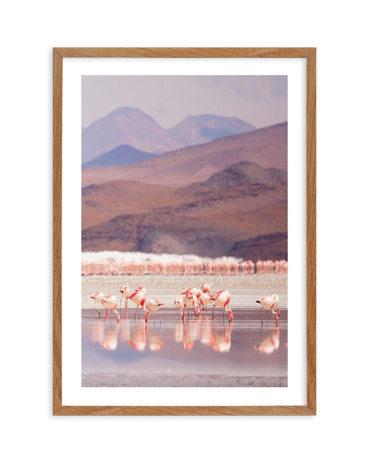 Flamingos | PT Art Print-PRINT-Olive et Oriel-Olive et Oriel-50x70 cm | 19.6" x 27.5"-Walnut-With White Border-Buy-Australian-Art-Prints-Online-with-Olive-et-Oriel-Your-Artwork-Specialists-Austrailia-Decorate-With-Coastal-Photo-Wall-Art-Prints-From-Our-Beach-House-Artwork-Collection-Fine-Poster-and-Framed-Artwork