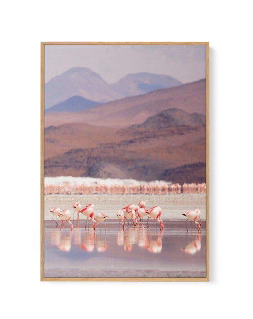 Flamingos | PT | Framed Canvas-CANVAS-You can shop wall art online with Olive et Oriel for everything from abstract art to fun kids wall art. Our beautiful modern art prints and canvas art are available from large canvas prints to wall art paintings and our proudly Australian artwork collection offers only the highest quality framed large wall art and canvas art Australia - You can buy fashion photography prints or Hampton print posters and paintings on canvas from Olive et Oriel and have them d