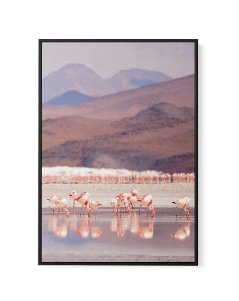 Flamingos | PT | Framed Canvas-CANVAS-You can shop wall art online with Olive et Oriel for everything from abstract art to fun kids wall art. Our beautiful modern art prints and canvas art are available from large canvas prints to wall art paintings and our proudly Australian artwork collection offers only the highest quality framed large wall art and canvas art Australia - You can buy fashion photography prints or Hampton print posters and paintings on canvas from Olive et Oriel and have them d