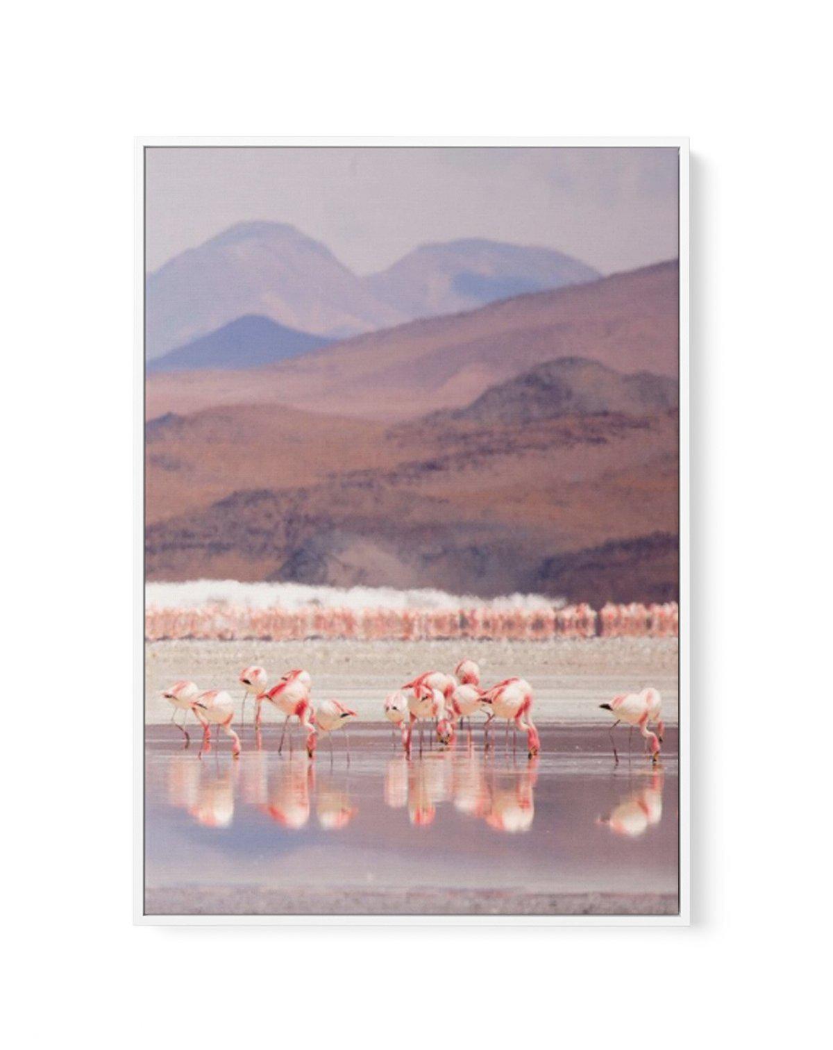 Flamingos | PT | Framed Canvas-CANVAS-You can shop wall art online with Olive et Oriel for everything from abstract art to fun kids wall art. Our beautiful modern art prints and canvas art are available from large canvas prints to wall art paintings and our proudly Australian artwork collection offers only the highest quality framed large wall art and canvas art Australia - You can buy fashion photography prints or Hampton print posters and paintings on canvas from Olive et Oriel and have them d