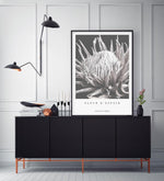 Fleur D'Espoir | King Protea Art Print-PRINT-Olive et Oriel-Olive et Oriel-Buy-Australian-Art-Prints-Online-with-Olive-et-Oriel-Your-Artwork-Specialists-Austrailia-Decorate-With-Coastal-Photo-Wall-Art-Prints-From-Our-Beach-House-Artwork-Collection-Fine-Poster-and-Framed-Artwork
