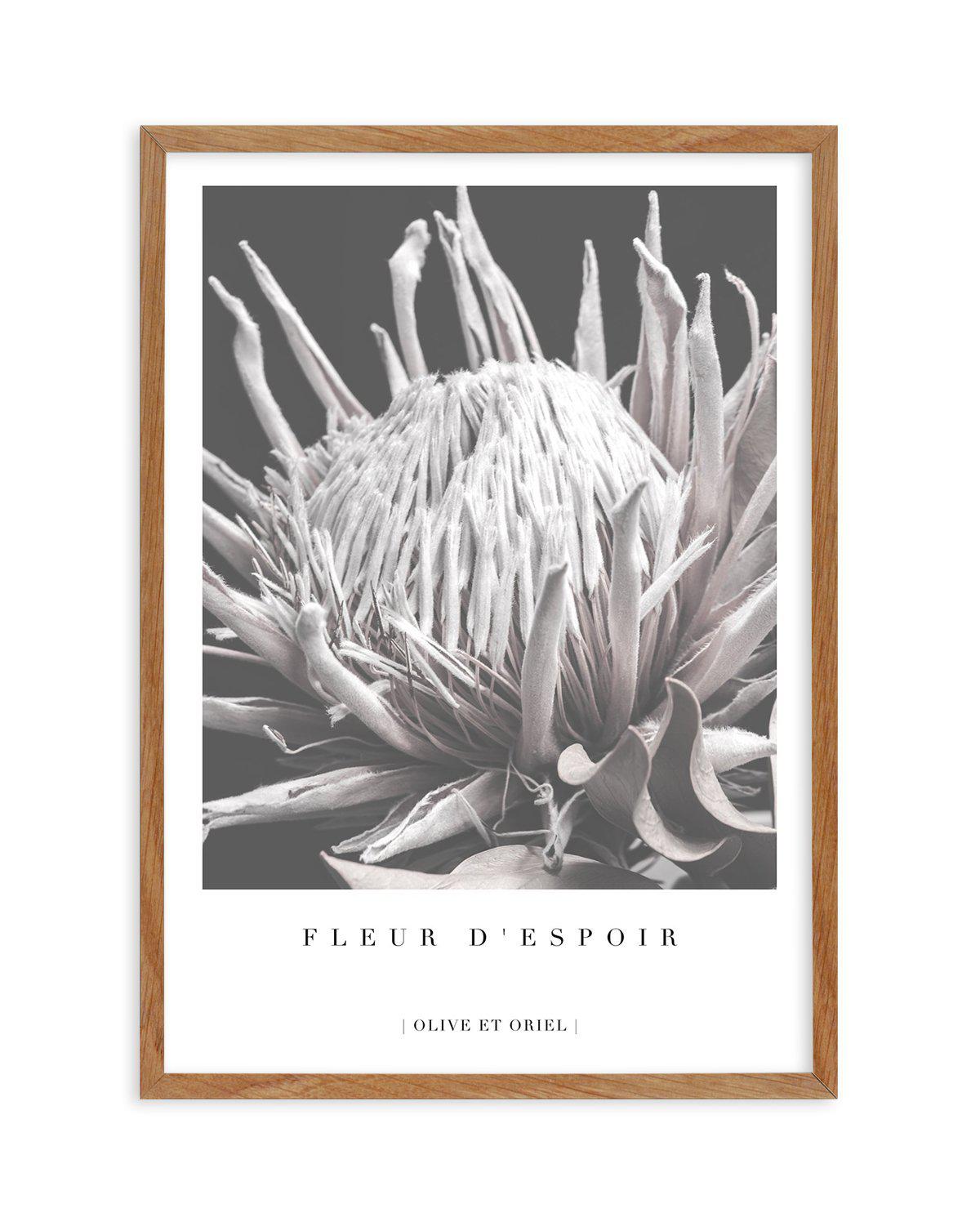 Fleur D'Espoir | King Protea Art Print-PRINT-Olive et Oriel-Olive et Oriel-50x70 cm | 19.6" x 27.5"-Walnut-With White Border-Buy-Australian-Art-Prints-Online-with-Olive-et-Oriel-Your-Artwork-Specialists-Austrailia-Decorate-With-Coastal-Photo-Wall-Art-Prints-From-Our-Beach-House-Artwork-Collection-Fine-Poster-and-Framed-Artwork