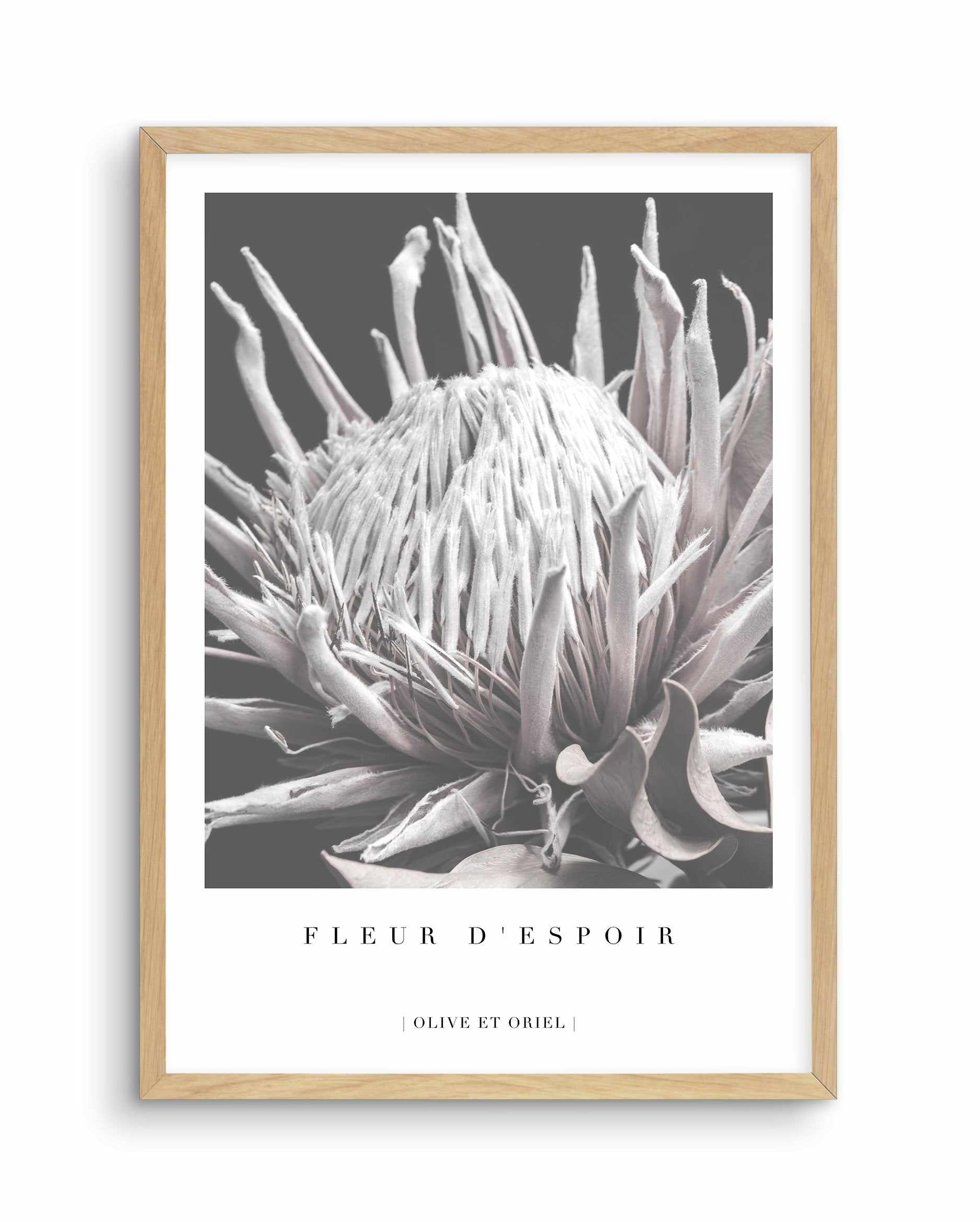 Fleur D'Espoir | King Protea Art Print-PRINT-Olive et Oriel-Olive et Oriel-A4 | 8.3" x 11.7" | 21 x 29.7cm-Oak-With White Border-Buy-Australian-Art-Prints-Online-with-Olive-et-Oriel-Your-Artwork-Specialists-Austrailia-Decorate-With-Coastal-Photo-Wall-Art-Prints-From-Our-Beach-House-Artwork-Collection-Fine-Poster-and-Framed-Artwork