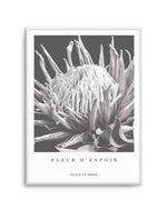 Fleur D'Espoir | King Protea Art Print-PRINT-Olive et Oriel-Olive et Oriel-A4 | 8.3" x 11.7" | 21 x 29.7cm-Unframed Art Print-With White Border-Buy-Australian-Art-Prints-Online-with-Olive-et-Oriel-Your-Artwork-Specialists-Austrailia-Decorate-With-Coastal-Photo-Wall-Art-Prints-From-Our-Beach-House-Artwork-Collection-Fine-Poster-and-Framed-Artwork
