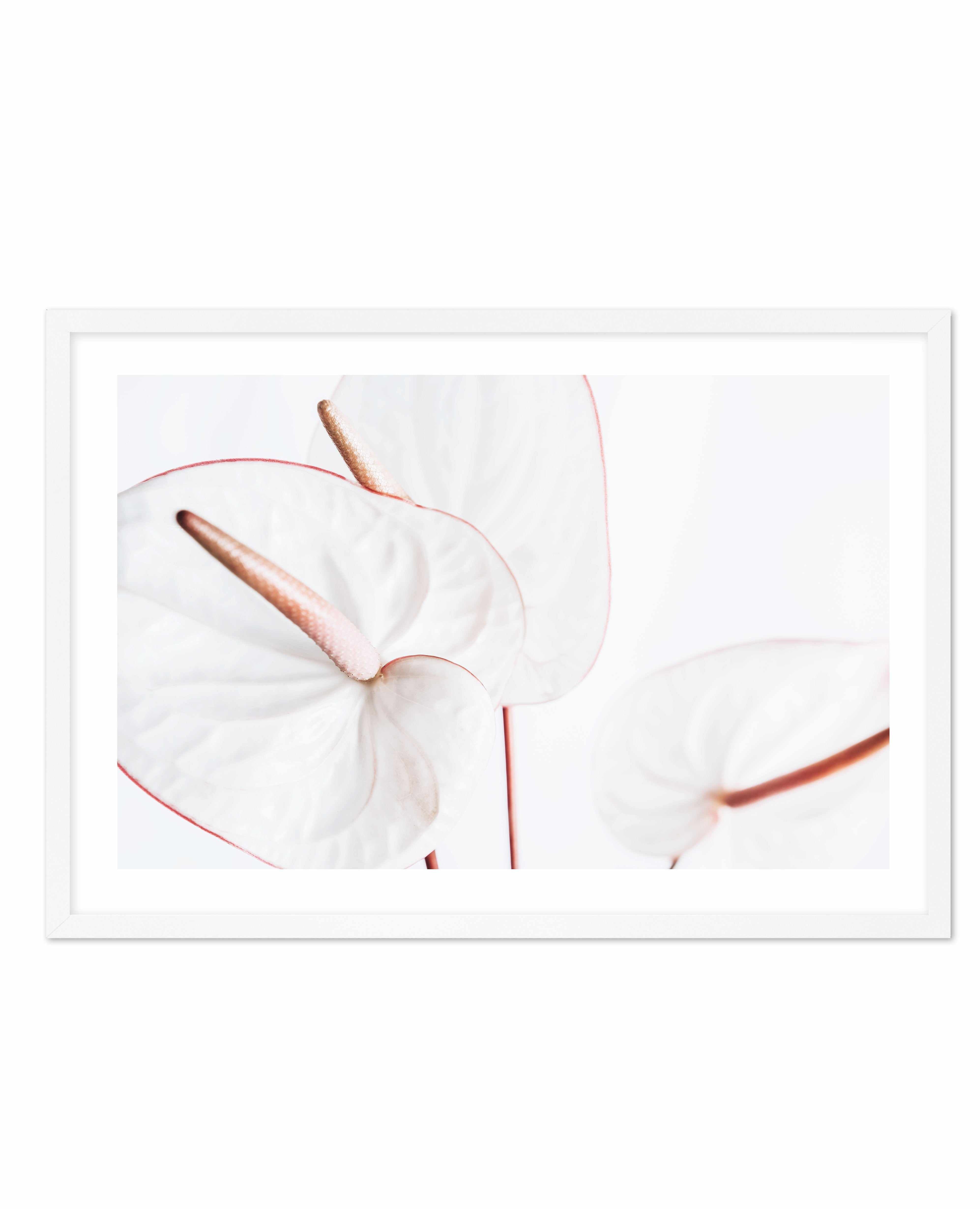 Fleur Flamingo | LS Art Print-PRINT-Olive et Oriel-Olive et Oriel-A5 | 5.8" x 8.3" | 14.8 x 21cm-White-With White Border-Buy-Australian-Art-Prints-Online-with-Olive-et-Oriel-Your-Artwork-Specialists-Austrailia-Decorate-With-Coastal-Photo-Wall-Art-Prints-From-Our-Beach-House-Artwork-Collection-Fine-Poster-and-Framed-Artwork