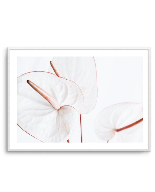 Fleur Flamingo | LS Art Print-PRINT-Olive et Oriel-Olive et Oriel-A5 | 5.8" x 8.3" | 14.8 x 21cm-Unframed Art Print-With White Border-Buy-Australian-Art-Prints-Online-with-Olive-et-Oriel-Your-Artwork-Specialists-Austrailia-Decorate-With-Coastal-Photo-Wall-Art-Prints-From-Our-Beach-House-Artwork-Collection-Fine-Poster-and-Framed-Artwork