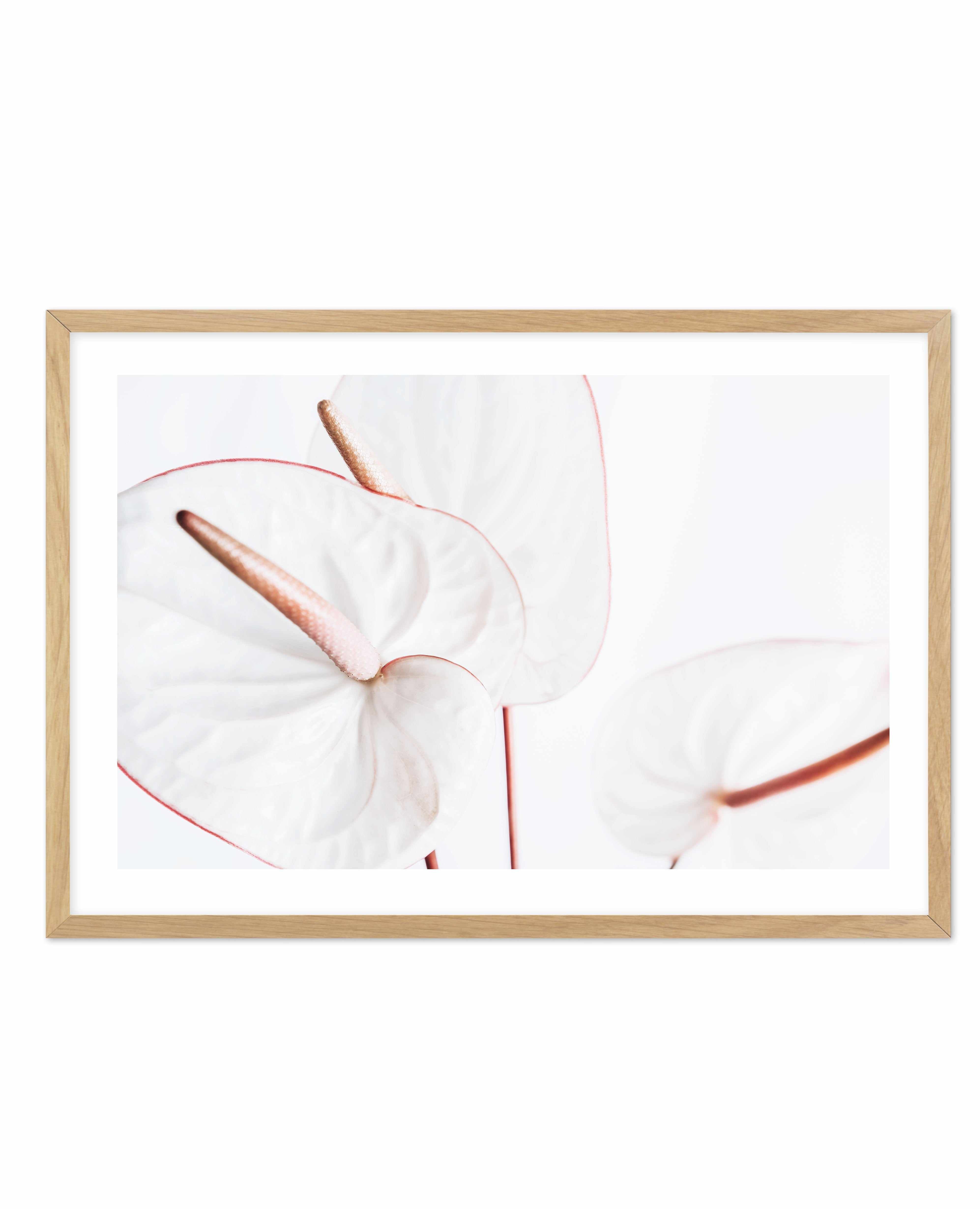 Fleur Flamingo | LS Art Print-PRINT-Olive et Oriel-Olive et Oriel-A5 | 5.8" x 8.3" | 14.8 x 21cm-Oak-With White Border-Buy-Australian-Art-Prints-Online-with-Olive-et-Oriel-Your-Artwork-Specialists-Austrailia-Decorate-With-Coastal-Photo-Wall-Art-Prints-From-Our-Beach-House-Artwork-Collection-Fine-Poster-and-Framed-Artwork