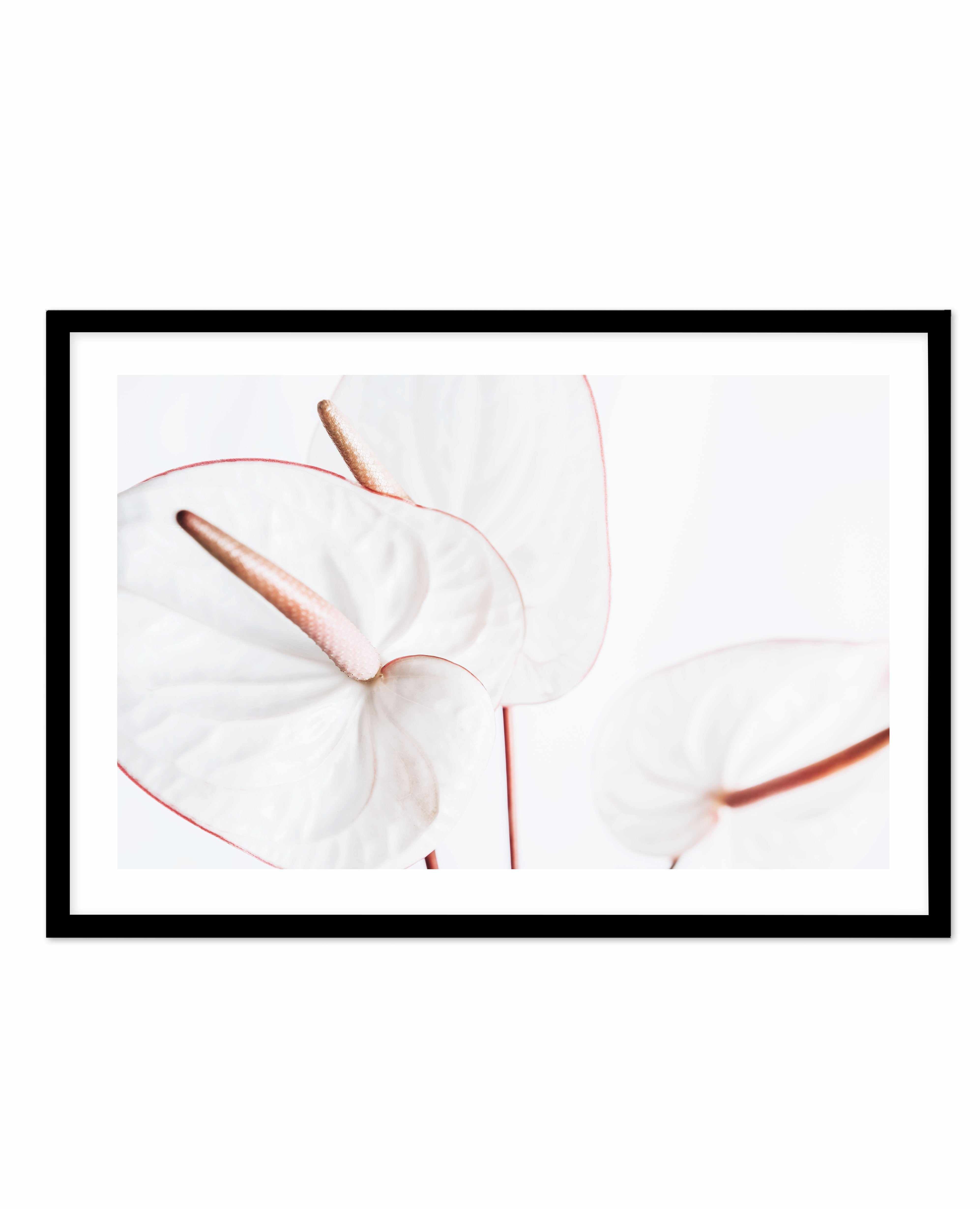 Fleur Flamingo | LS Art Print-PRINT-Olive et Oriel-Olive et Oriel-A5 | 5.8" x 8.3" | 14.8 x 21cm-Black-With White Border-Buy-Australian-Art-Prints-Online-with-Olive-et-Oriel-Your-Artwork-Specialists-Austrailia-Decorate-With-Coastal-Photo-Wall-Art-Prints-From-Our-Beach-House-Artwork-Collection-Fine-Poster-and-Framed-Artwork