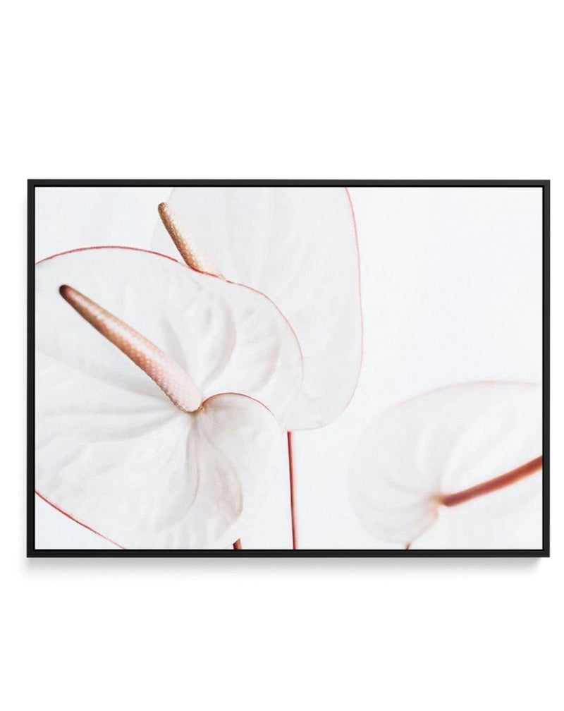 Fleur Flamingo | LS | Framed Canvas-CANVAS-You can shop wall art online with Olive et Oriel for everything from abstract art to fun kids wall art. Our beautiful modern art prints and canvas art are available from large canvas prints to wall art paintings and our proudly Australian artwork collection offers only the highest quality framed large wall art and canvas art Australia - You can buy fashion photography prints or Hampton print posters and paintings on canvas from Olive et Oriel and have t