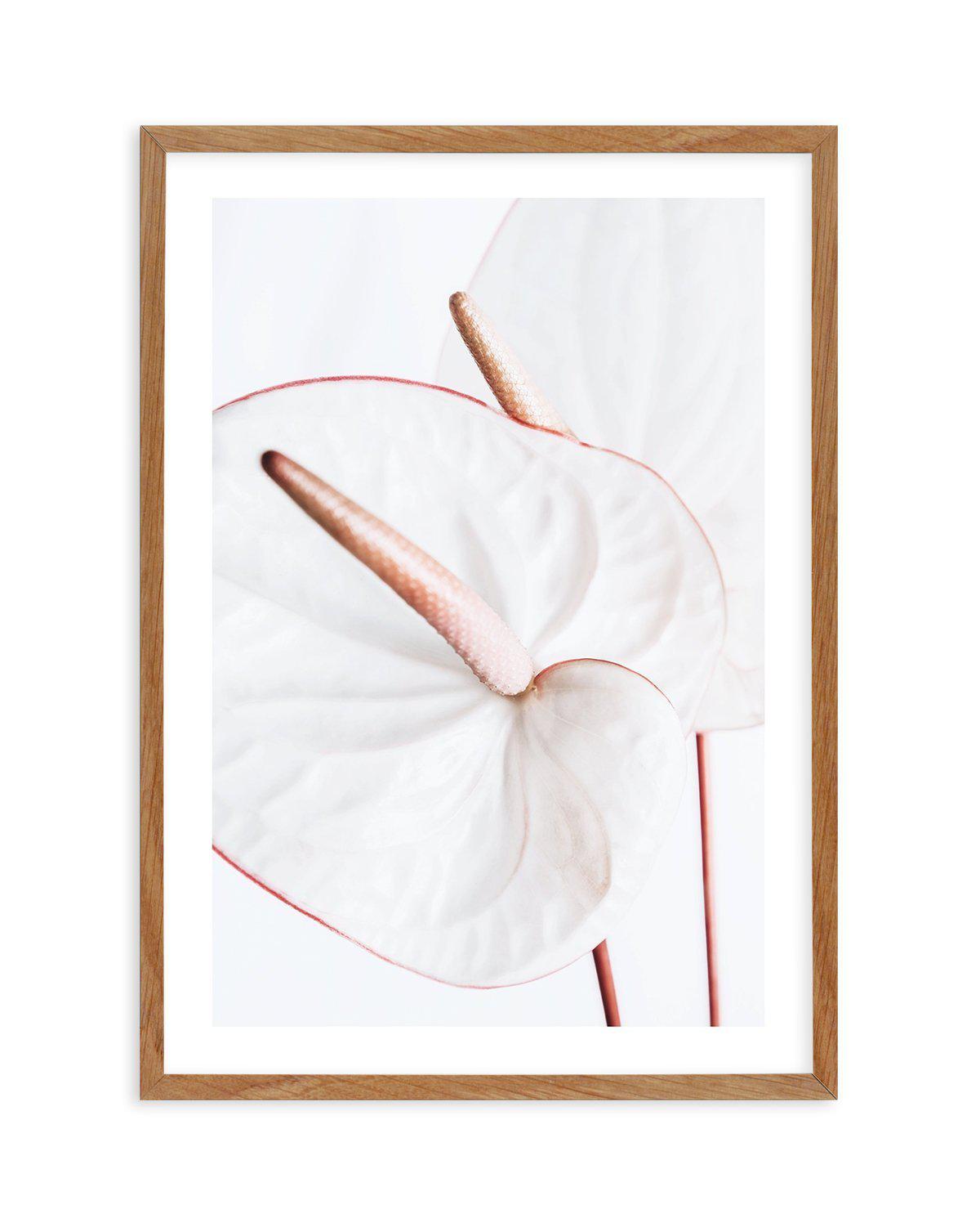 Fleur Flamingo | PT Art Print-PRINT-Olive et Oriel-Olive et Oriel-50x70 cm | 19.6" x 27.5"-Walnut-With White Border-Buy-Australian-Art-Prints-Online-with-Olive-et-Oriel-Your-Artwork-Specialists-Austrailia-Decorate-With-Coastal-Photo-Wall-Art-Prints-From-Our-Beach-House-Artwork-Collection-Fine-Poster-and-Framed-Artwork