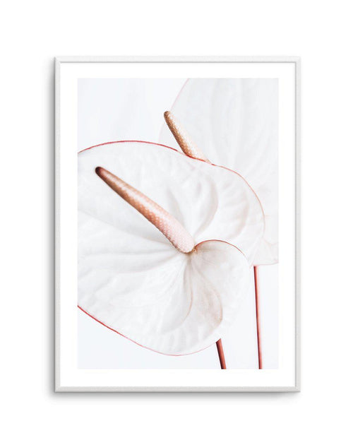 Fleur Flamingo | PT Art Print-PRINT-Olive et Oriel-Olive et Oriel-A5 | 5.8" x 8.3" | 14.8 x 21cm-Unframed Art Print-With White Border-Buy-Australian-Art-Prints-Online-with-Olive-et-Oriel-Your-Artwork-Specialists-Austrailia-Decorate-With-Coastal-Photo-Wall-Art-Prints-From-Our-Beach-House-Artwork-Collection-Fine-Poster-and-Framed-Artwork