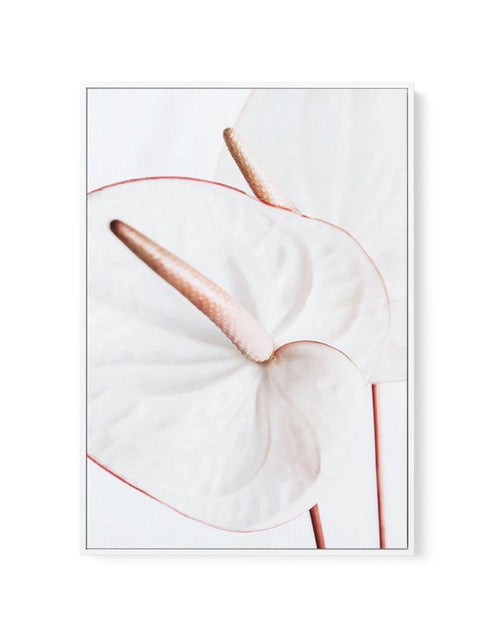 Fleur Flamingo | PT | Framed Canvas-CANVAS-You can shop wall art online with Olive et Oriel for everything from abstract art to fun kids wall art. Our beautiful modern art prints and canvas art are available from large canvas prints to wall art paintings and our proudly Australian artwork collection offers only the highest quality framed large wall art and canvas art Australia - You can buy fashion photography prints or Hampton print posters and paintings on canvas from Olive et Oriel and have t