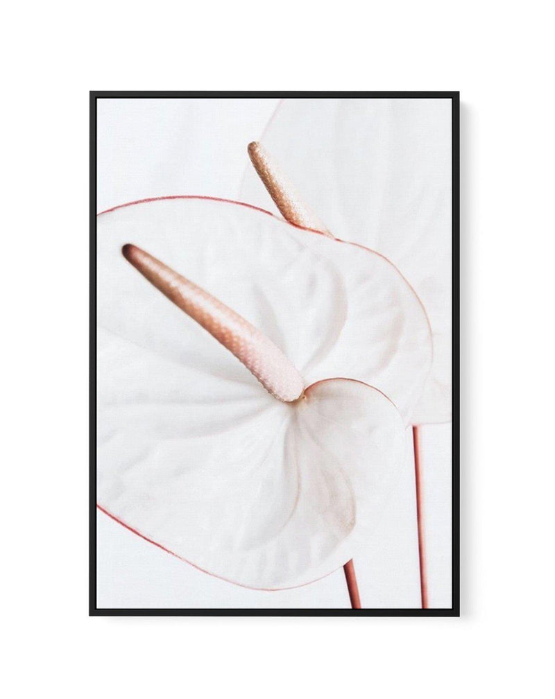 Fleur Flamingo | PT | Framed Canvas-CANVAS-You can shop wall art online with Olive et Oriel for everything from abstract art to fun kids wall art. Our beautiful modern art prints and canvas art are available from large canvas prints to wall art paintings and our proudly Australian artwork collection offers only the highest quality framed large wall art and canvas art Australia - You can buy fashion photography prints or Hampton print posters and paintings on canvas from Olive et Oriel and have t