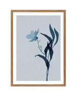 Fleur Graphique II | Blue Art Print-PRINT-Olive et Oriel-Olive et Oriel-Buy-Australian-Art-Prints-Online-with-Olive-et-Oriel-Your-Artwork-Specialists-Austrailia-Decorate-With-Coastal-Photo-Wall-Art-Prints-From-Our-Beach-House-Artwork-Collection-Fine-Poster-and-Framed-Artwork