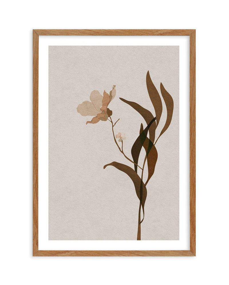 Fleur Graphique III | Brown Art Print-PRINT-Olive et Oriel-Olive et Oriel-Buy-Australian-Art-Prints-Online-with-Olive-et-Oriel-Your-Artwork-Specialists-Austrailia-Decorate-With-Coastal-Photo-Wall-Art-Prints-From-Our-Beach-House-Artwork-Collection-Fine-Poster-and-Framed-Artwork