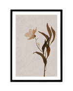 Artwork - Brown Flower Graphic Art Print Framed: Oak - White - Black ...