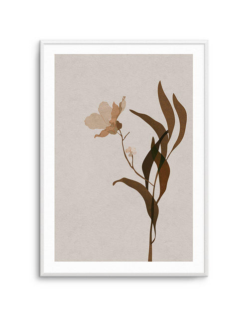 Fleur Graphique III | Brown Art Print-PRINT-Olive et Oriel-Olive et Oriel-A4 | 8.3" x 11.7" | 21 x 29.7cm-Unframed Art Print-With White Border-Buy-Australian-Art-Prints-Online-with-Olive-et-Oriel-Your-Artwork-Specialists-Austrailia-Decorate-With-Coastal-Photo-Wall-Art-Prints-From-Our-Beach-House-Artwork-Collection-Fine-Poster-and-Framed-Artwork