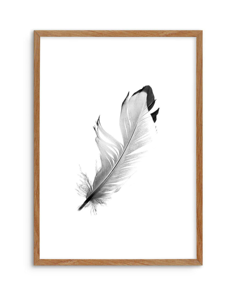 Floating Feather Art Print-PRINT-Olive et Oriel-Olive et Oriel-50x70 cm | 19.6" x 27.5"-Walnut-With White Border-Buy-Australian-Art-Prints-Online-with-Olive-et-Oriel-Your-Artwork-Specialists-Austrailia-Decorate-With-Coastal-Photo-Wall-Art-Prints-From-Our-Beach-House-Artwork-Collection-Fine-Poster-and-Framed-Artwork