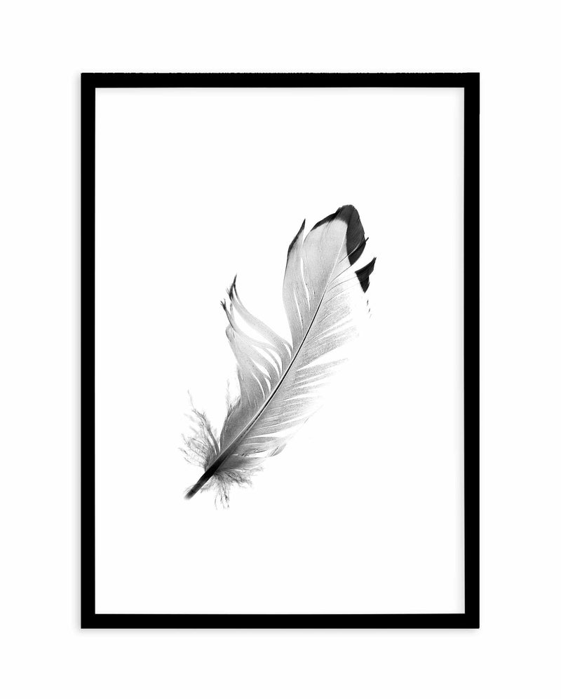 Floating Feather Art Print-PRINT-Olive et Oriel-Olive et Oriel-A5 | 5.8" x 8.3" | 14.8 x 21cm-Black-With White Border-Buy-Australian-Art-Prints-Online-with-Olive-et-Oriel-Your-Artwork-Specialists-Austrailia-Decorate-With-Coastal-Photo-Wall-Art-Prints-From-Our-Beach-House-Artwork-Collection-Fine-Poster-and-Framed-Artwork