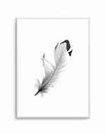 Floating Feather Art Print-PRINT-Olive et Oriel-Olive et Oriel-A5 | 5.8" x 8.3" | 14.8 x 21cm-Unframed Art Print-With White Border-Buy-Australian-Art-Prints-Online-with-Olive-et-Oriel-Your-Artwork-Specialists-Austrailia-Decorate-With-Coastal-Photo-Wall-Art-Prints-From-Our-Beach-House-Artwork-Collection-Fine-Poster-and-Framed-Artwork