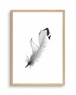 Floating Feather Art Print-PRINT-Olive et Oriel-Olive et Oriel-A5 | 5.8" x 8.3" | 14.8 x 21cm-Oak-With White Border-Buy-Australian-Art-Prints-Online-with-Olive-et-Oriel-Your-Artwork-Specialists-Austrailia-Decorate-With-Coastal-Photo-Wall-Art-Prints-From-Our-Beach-House-Artwork-Collection-Fine-Poster-and-Framed-Artwork