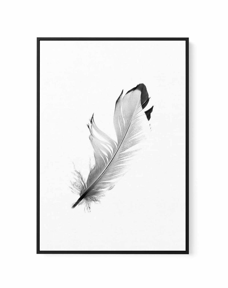 Floating Feather | Framed Canvas-CANVAS-You can shop wall art online with Olive et Oriel for everything from abstract art to fun kids wall art. Our beautiful modern art prints and canvas art are available from large canvas prints to wall art paintings and our proudly Australian artwork collection offers only the highest quality framed large wall art and canvas art Australia - You can buy fashion photography prints or Hampton print posters and paintings on canvas from Olive et Oriel and have them