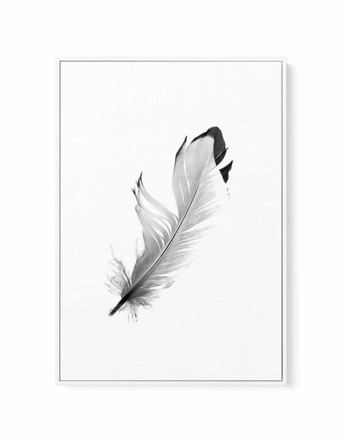 Floating Feather | Framed Canvas-CANVAS-You can shop wall art online with Olive et Oriel for everything from abstract art to fun kids wall art. Our beautiful modern art prints and canvas art are available from large canvas prints to wall art paintings and our proudly Australian artwork collection offers only the highest quality framed large wall art and canvas art Australia - You can buy fashion photography prints or Hampton print posters and paintings on canvas from Olive et Oriel and have them