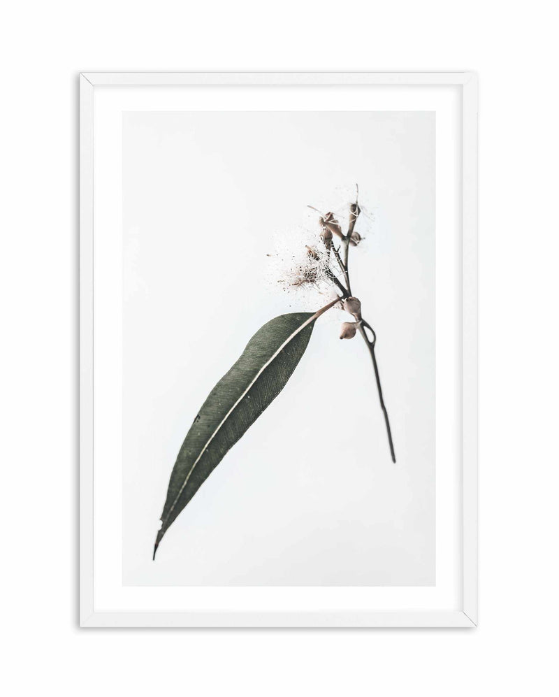 Floating Gum Art Print-PRINT-Olive et Oriel-Olive et Oriel-A4 | 8.3" x 11.7" | 21 x 29.7cm-White-With White Border-Buy-Australian-Art-Prints-Online-with-Olive-et-Oriel-Your-Artwork-Specialists-Austrailia-Decorate-With-Coastal-Photo-Wall-Art-Prints-From-Our-Beach-House-Artwork-Collection-Fine-Poster-and-Framed-Artwork