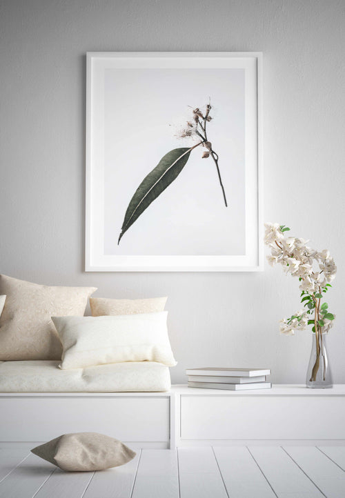 Floating Gum Art Print-PRINT-Olive et Oriel-Olive et Oriel-Buy-Australian-Art-Prints-Online-with-Olive-et-Oriel-Your-Artwork-Specialists-Austrailia-Decorate-With-Coastal-Photo-Wall-Art-Prints-From-Our-Beach-House-Artwork-Collection-Fine-Poster-and-Framed-Artwork