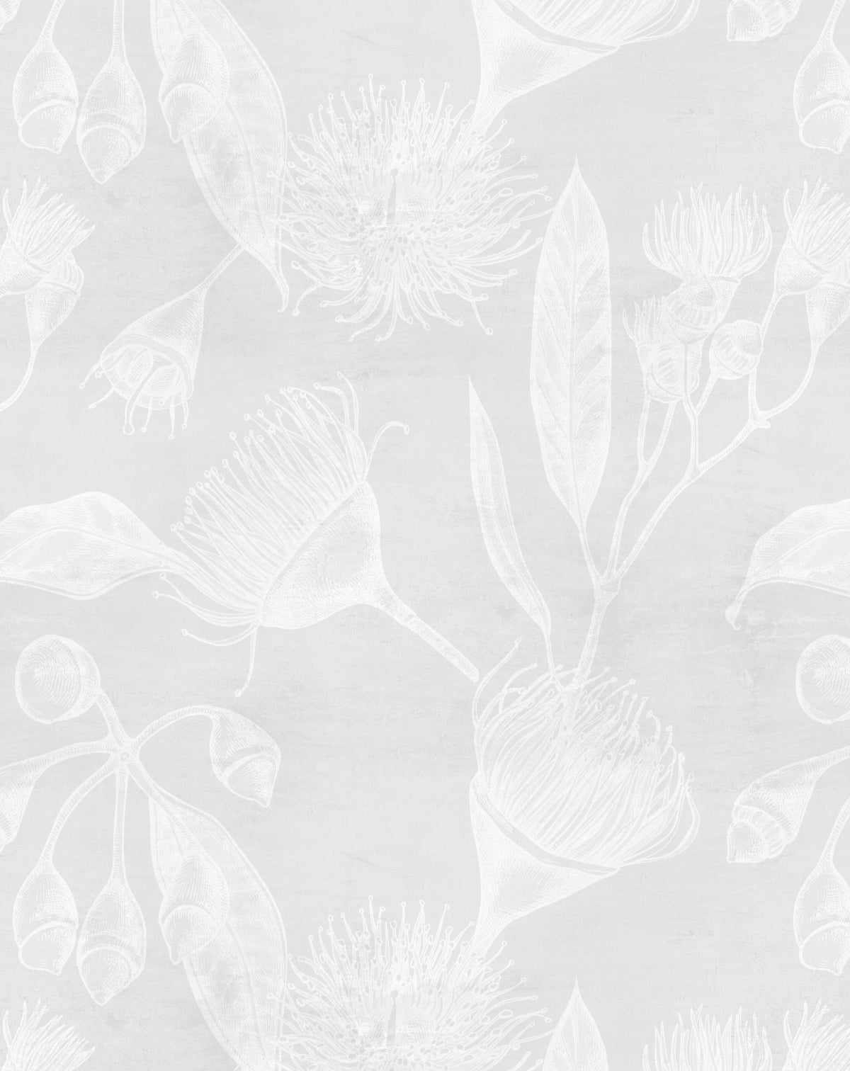 Flowering Gum in Grey Wallpaper - Olive et Oriel