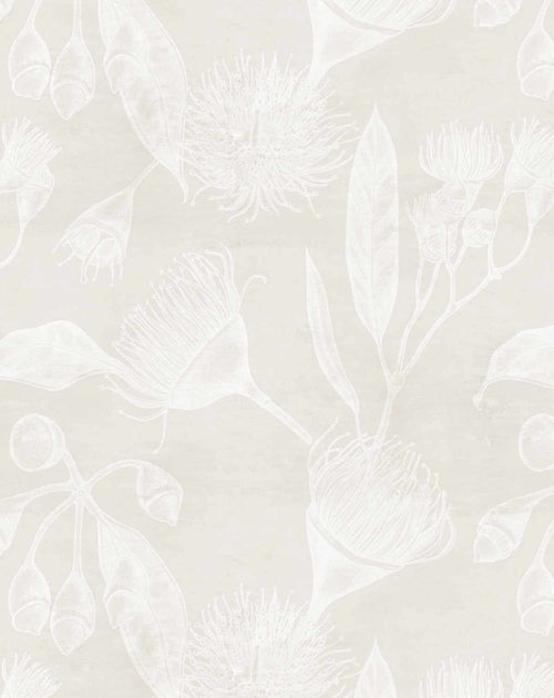 Flowering Gum in Sand Wallpaper - Olive et Oriel