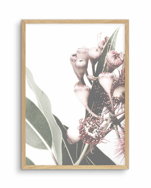 Flowering Gum I Art Print-PRINT-Olive et Oriel-Olive et Oriel-A4 | 8.3" x 11.7" | 21 x 29.7cm-Oak-With White Border-Buy-Australian-Art-Prints-Online-with-Olive-et-Oriel-Your-Artwork-Specialists-Austrailia-Decorate-With-Coastal-Photo-Wall-Art-Prints-From-Our-Beach-House-Artwork-Collection-Fine-Poster-and-Framed-Artwork