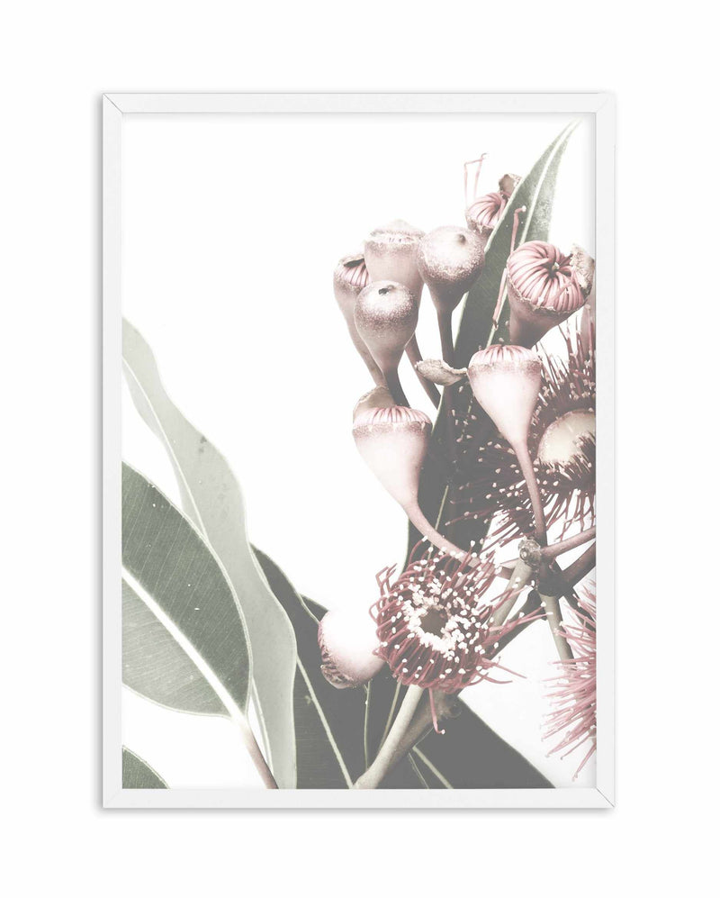 Flowering Gum I Art Print-PRINT-Olive et Oriel-Olive et Oriel-A4 | 8.3" x 11.7" | 21 x 29.7cm-White-With White Border-Buy-Australian-Art-Prints-Online-with-Olive-et-Oriel-Your-Artwork-Specialists-Austrailia-Decorate-With-Coastal-Photo-Wall-Art-Prints-From-Our-Beach-House-Artwork-Collection-Fine-Poster-and-Framed-Artwork