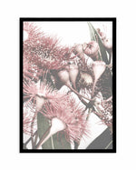 Flowering Gum II Art Print-PRINT-Olive et Oriel-Olive et Oriel-A4 | 8.3" x 11.7" | 21 x 29.7cm-Black-With White Border-Buy-Australian-Art-Prints-Online-with-Olive-et-Oriel-Your-Artwork-Specialists-Austrailia-Decorate-With-Coastal-Photo-Wall-Art-Prints-From-Our-Beach-House-Artwork-Collection-Fine-Poster-and-Framed-Artwork