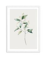 Foliage I Art Print-PRINT-Olive et Oriel-Olive et Oriel-A5 | 5.8" x 8.3" | 14.8 x 21cm-White-With White Border-Buy-Australian-Art-Prints-Online-with-Olive-et-Oriel-Your-Artwork-Specialists-Austrailia-Decorate-With-Coastal-Photo-Wall-Art-Prints-From-Our-Beach-House-Artwork-Collection-Fine-Poster-and-Framed-Artwork