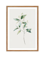Foliage I Art Print-PRINT-Olive et Oriel-Olive et Oriel-50x70 cm | 19.6" x 27.5"-Walnut-With White Border-Buy-Australian-Art-Prints-Online-with-Olive-et-Oriel-Your-Artwork-Specialists-Austrailia-Decorate-With-Coastal-Photo-Wall-Art-Prints-From-Our-Beach-House-Artwork-Collection-Fine-Poster-and-Framed-Artwork