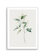 Foliage I Art Print-PRINT-Olive et Oriel-Olive et Oriel-A5 | 5.8" x 8.3" | 14.8 x 21cm-Unframed Art Print-With White Border-Buy-Australian-Art-Prints-Online-with-Olive-et-Oriel-Your-Artwork-Specialists-Austrailia-Decorate-With-Coastal-Photo-Wall-Art-Prints-From-Our-Beach-House-Artwork-Collection-Fine-Poster-and-Framed-Artwork