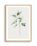 Foliage I Art Print-PRINT-Olive et Oriel-Olive et Oriel-A5 | 5.8" x 8.3" | 14.8 x 21cm-Oak-With White Border-Buy-Australian-Art-Prints-Online-with-Olive-et-Oriel-Your-Artwork-Specialists-Austrailia-Decorate-With-Coastal-Photo-Wall-Art-Prints-From-Our-Beach-House-Artwork-Collection-Fine-Poster-and-Framed-Artwork