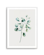 Foliage II Art Print-PRINT-Olive et Oriel-Olive et Oriel-A5 | 5.8" x 8.3" | 14.8 x 21cm-Unframed Art Print-With White Border-Buy-Australian-Art-Prints-Online-with-Olive-et-Oriel-Your-Artwork-Specialists-Austrailia-Decorate-With-Coastal-Photo-Wall-Art-Prints-From-Our-Beach-House-Artwork-Collection-Fine-Poster-and-Framed-Artwork