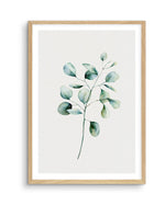 Foliage II Art Print-PRINT-Olive et Oriel-Olive et Oriel-A5 | 5.8" x 8.3" | 14.8 x 21cm-Oak-With White Border-Buy-Australian-Art-Prints-Online-with-Olive-et-Oriel-Your-Artwork-Specialists-Austrailia-Decorate-With-Coastal-Photo-Wall-Art-Prints-From-Our-Beach-House-Artwork-Collection-Fine-Poster-and-Framed-Artwork