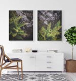 Forest Fern I Art Print-PRINT-Olive et Oriel-Olive et Oriel-Buy-Australian-Art-Prints-Online-with-Olive-et-Oriel-Your-Artwork-Specialists-Austrailia-Decorate-With-Coastal-Photo-Wall-Art-Prints-From-Our-Beach-House-Artwork-Collection-Fine-Poster-and-Framed-Artwork