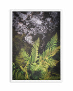 Forest Fern II Art Print-PRINT-Olive et Oriel-Olive et Oriel-A5 | 5.8" x 8.3" | 14.8 x 21cm-Oak-With White Border-Buy-Australian-Art-Prints-Online-with-Olive-et-Oriel-Your-Artwork-Specialists-Austrailia-Decorate-With-Coastal-Photo-Wall-Art-Prints-From-Our-Beach-House-Artwork-Collection-Fine-Poster-and-Framed-Artwork
