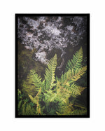 Forest Fern II Art Print-PRINT-Olive et Oriel-Olive et Oriel-A5 | 5.8" x 8.3" | 14.8 x 21cm-Black-With White Border-Buy-Australian-Art-Prints-Online-with-Olive-et-Oriel-Your-Artwork-Specialists-Austrailia-Decorate-With-Coastal-Photo-Wall-Art-Prints-From-Our-Beach-House-Artwork-Collection-Fine-Poster-and-Framed-Artwork