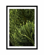 Foret Verte Art Print-PRINT-Olive et Oriel-Olive et Oriel-A4 | 8.3" x 11.7" | 21 x 29.7cm-Black-With White Border-Buy-Australian-Art-Prints-Online-with-Olive-et-Oriel-Your-Artwork-Specialists-Austrailia-Decorate-With-Coastal-Photo-Wall-Art-Prints-From-Our-Beach-House-Artwork-Collection-Fine-Poster-and-Framed-Artwork