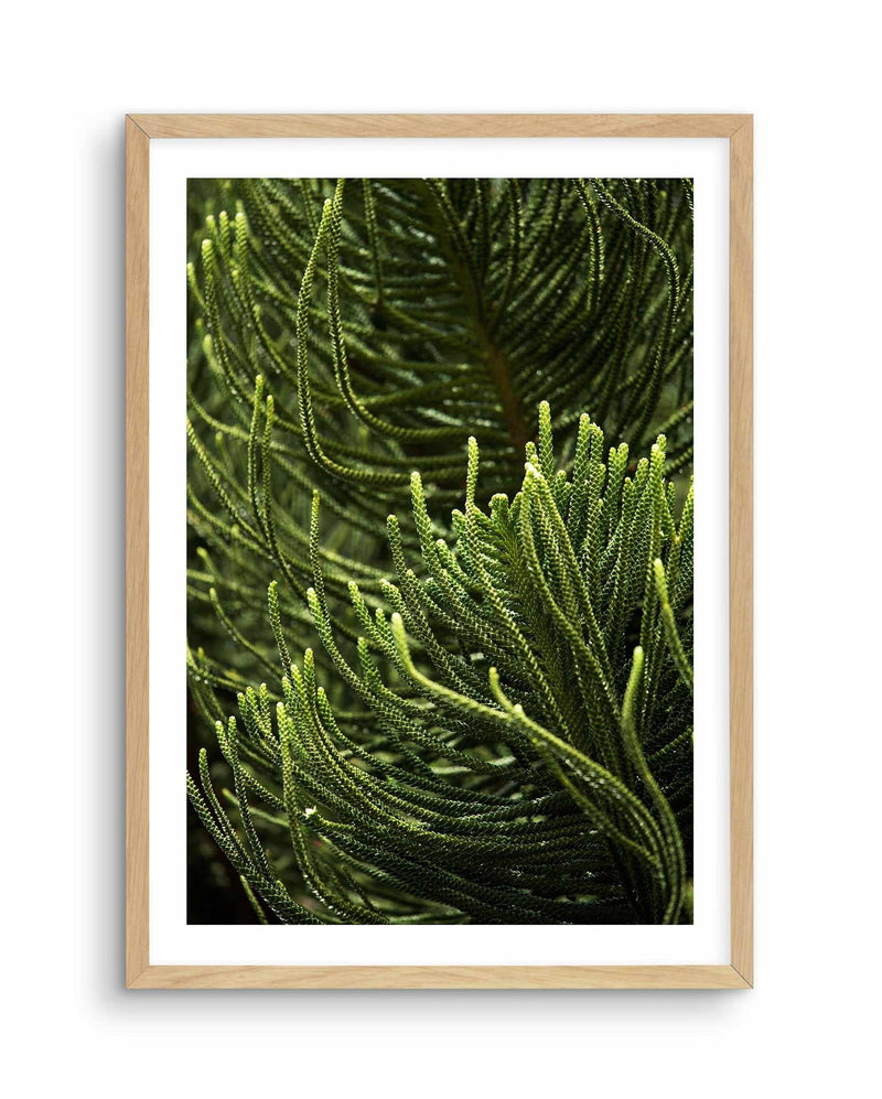 Foret Verte Art Print-PRINT-Olive et Oriel-Olive et Oriel-A4 | 8.3" x 11.7" | 21 x 29.7cm-Oak-With White Border-Buy-Australian-Art-Prints-Online-with-Olive-et-Oriel-Your-Artwork-Specialists-Austrailia-Decorate-With-Coastal-Photo-Wall-Art-Prints-From-Our-Beach-House-Artwork-Collection-Fine-Poster-and-Framed-Artwork