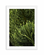Foret Verte Art Print-PRINT-Olive et Oriel-Olive et Oriel-A4 | 8.3" x 11.7" | 21 x 29.7cm-White-With White Border-Buy-Australian-Art-Prints-Online-with-Olive-et-Oriel-Your-Artwork-Specialists-Austrailia-Decorate-With-Coastal-Photo-Wall-Art-Prints-From-Our-Beach-House-Artwork-Collection-Fine-Poster-and-Framed-Artwork