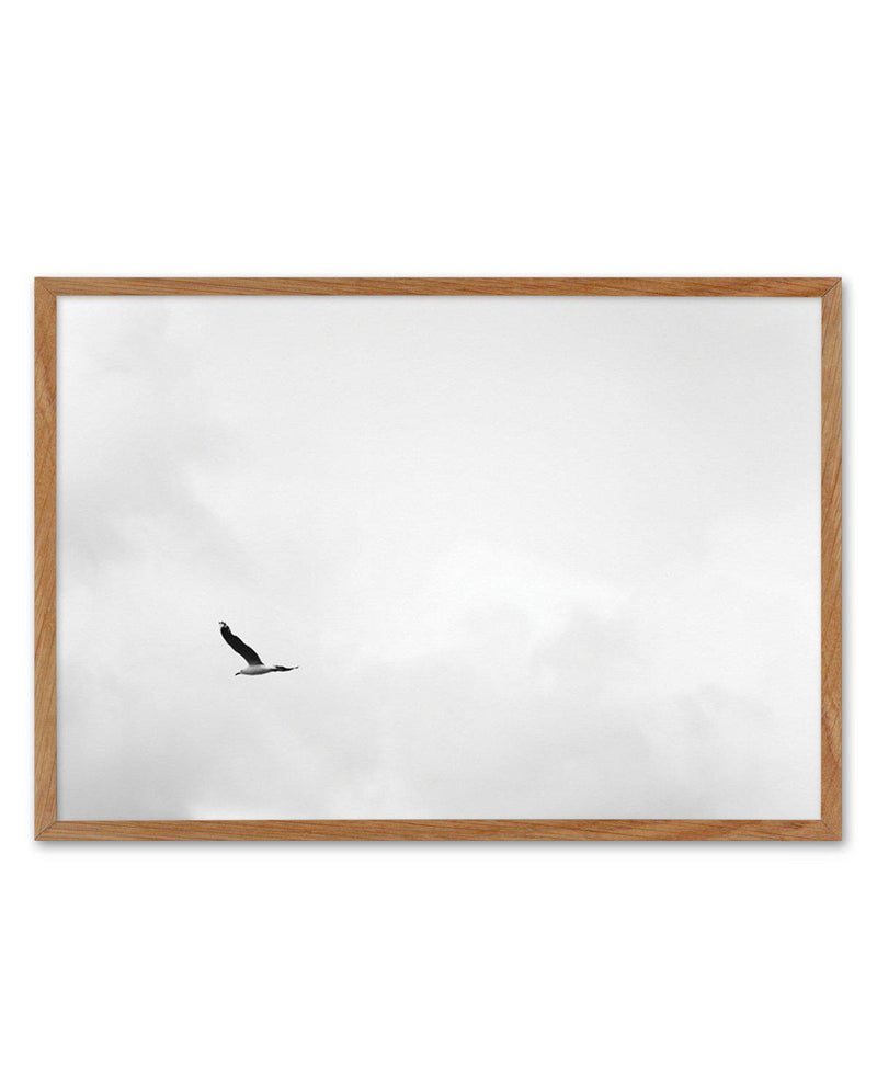 Freedom Art Print-PRINT-Olive et Oriel-Olive et Oriel-50x70 cm | 19.6" x 27.5"-Walnut-With White Border-Buy-Australian-Art-Prints-Online-with-Olive-et-Oriel-Your-Artwork-Specialists-Austrailia-Decorate-With-Coastal-Photo-Wall-Art-Prints-From-Our-Beach-House-Artwork-Collection-Fine-Poster-and-Framed-Artwork