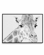 Giraffe B&W | LS | Framed Canvas-CANVAS-You can shop wall art online with Olive et Oriel for everything from abstract art to fun kids wall art. Our beautiful modern art prints and canvas art are available from large canvas prints to wall art paintings and our proudly Australian artwork collection offers only the highest quality framed large wall art and canvas art Australia - You can buy fashion photography prints or Hampton print posters and paintings on canvas from Olive et Oriel and have them