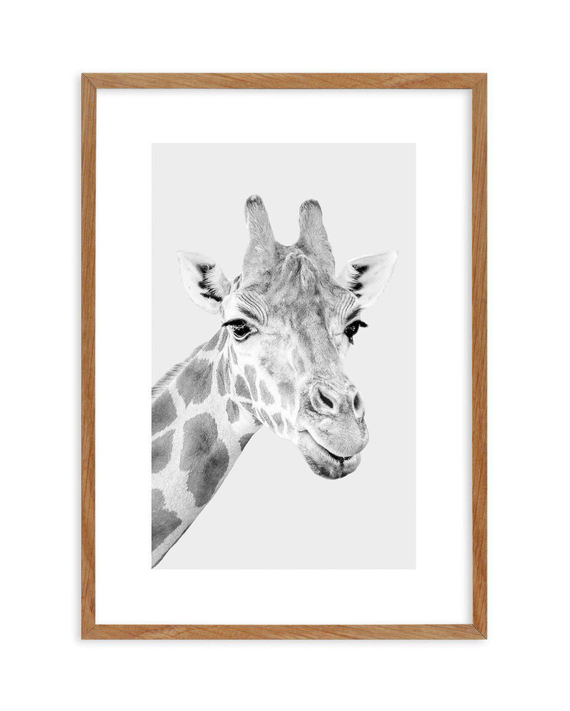 Giraffe B&W | PT Art Print-PRINT-Olive et Oriel-Olive et Oriel-50x70 cm | 19.6" x 27.5"-Walnut-With White Border-Buy-Australian-Art-Prints-Online-with-Olive-et-Oriel-Your-Artwork-Specialists-Austrailia-Decorate-With-Coastal-Photo-Wall-Art-Prints-From-Our-Beach-House-Artwork-Collection-Fine-Poster-and-Framed-Artwork